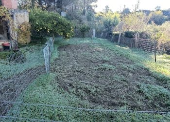 Giardino - Villa Strada Vicinale Rizzuto
 
snc, Enna - foto 16