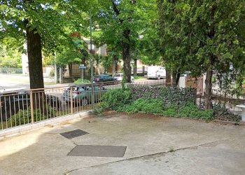 Terrazza - Shop Viale Gobio
 
5, Mantova - photo 9