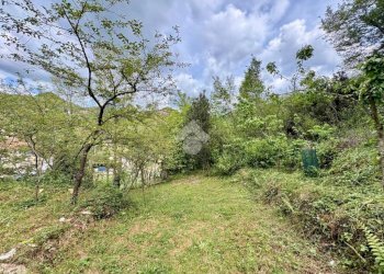 Terreno agricolo Via Piccarello, Sant'Olcese - foto 2