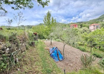 Terreno agricolo Via Piccarello, Sant'Olcese - foto 3