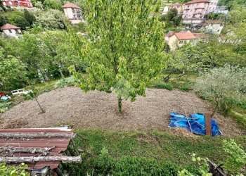 Terreno agricolo Via Piccarello, Sant'Olcese - foto 5