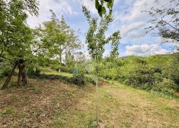 Terreno agricolo Via Piccarello, Sant'Olcese - foto 6