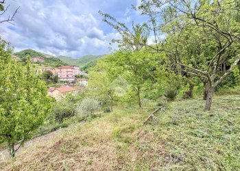 Terreno agricolo Via Piccarello, Sant'Olcese - foto 8