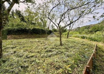 Terreno agricolo Via Piccarello, Sant'Olcese - foto 9