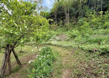 Terreno agricolo Via Piccarello, Sant'Olcese - foto 10