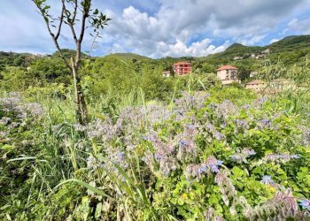 Terreno agricolo Via Piccarello, Sant'Olcese - foto 11
