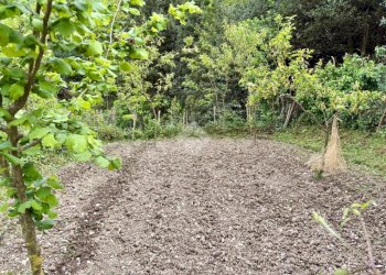 Terreno agricolo Via Piccarello, Sant'Olcese - foto 13