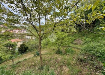 Terreno agricolo Via Piccarello, Sant'Olcese - foto 15