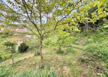 Terreno agricolo Via Piccarello, Sant'Olcese - foto 16