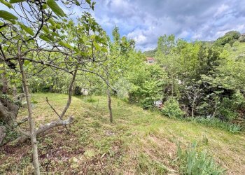 Terreno agricolo Via Piccarello, Sant'Olcese - foto 17