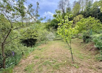 Terreno agricolo Via Piccarello, Sant'Olcese - foto 18