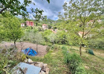 Terreno agricolo Via Piccarello, Sant'Olcese - foto 19