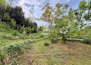 Terreno agricolo Via Piccarello, Sant'Olcese - foto 22