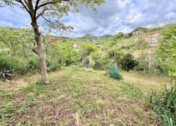 Terreno agricolo Via Piccarello, Sant'Olcese - foto 24
