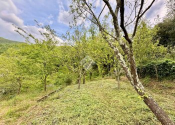 Terreno agricolo Via Piccarello, Sant'Olcese - foto 26