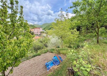 Terreno agricolo Via Piccarello, Sant'Olcese - foto 29