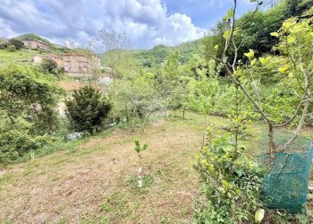 Terreno agricolo Via Piccarello, Sant'Olcese - foto 30