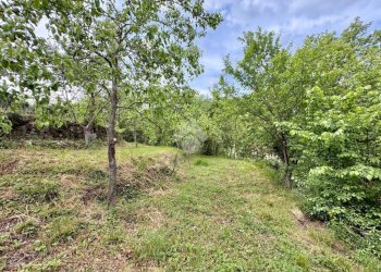 Terreno agricolo Via Piccarello, Sant'Olcese - foto 31