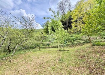 Terreno agricolo Via Piccarello, Sant'Olcese - foto 32