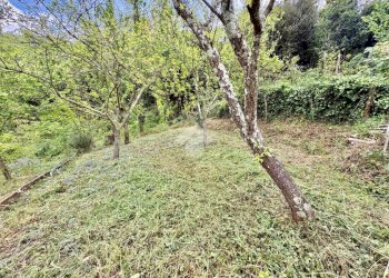 Terreno agricolo Via Piccarello, Sant'Olcese - foto 33