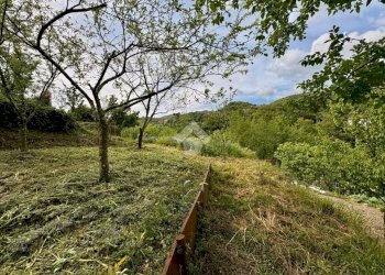 Terreno agricolo Via Piccarello, Sant'Olcese - foto 39