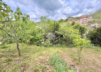 Terreno agricolo Via Piccarello, Sant'Olcese - foto 40