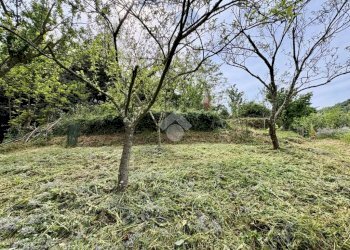 Terreno agricolo Via Piccarello, Sant'Olcese - foto 42