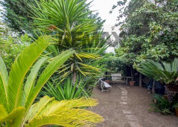 Giardino - Villa a Schiera VIA DOMENICO GALLUCCI
 
16, Francavilla al Mare - foto 33