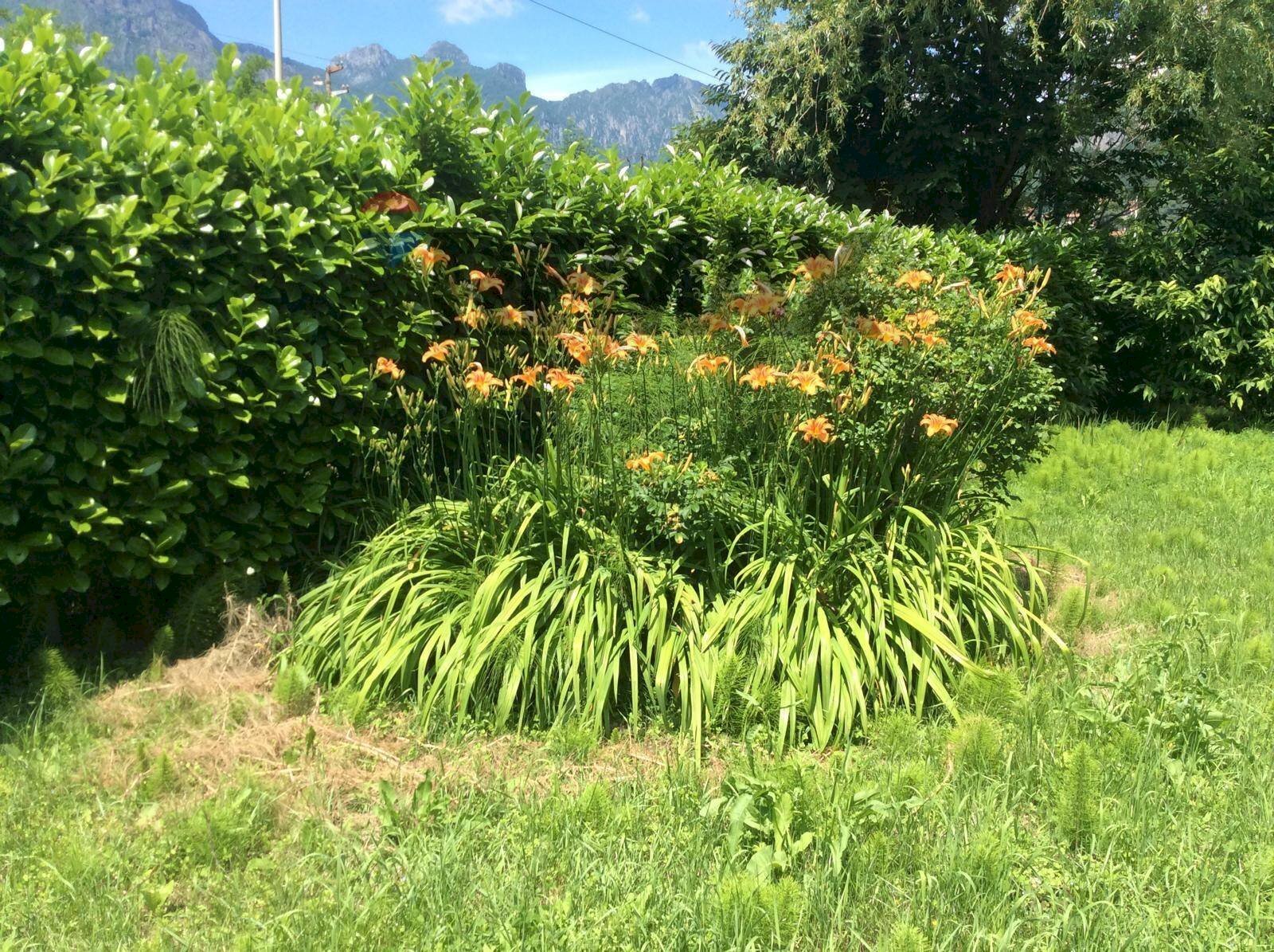 Giardino - Agricultural land VIA LEONARDO DA VINCI
 
14, Galbiate - photo 2