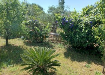 Giardino - Villa Minturno - photo 29