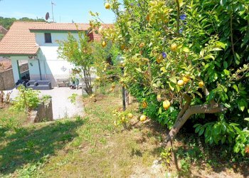 Giardino - Villa Minturno - photo 30