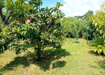 Giardino - Villa Minturno - photo 31