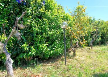 Giardino - Villa Minturno - photo 32