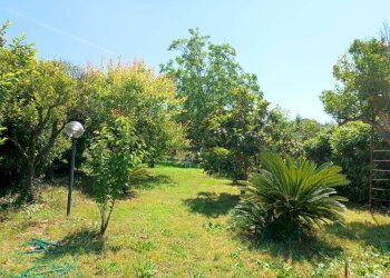 Giardino - Villa Minturno - photo 35