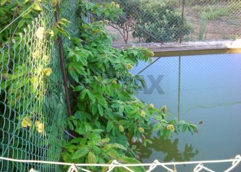 Vista dell\'acqua - Villa contrada bosco falconeria
 
snc, Partinico - foto 31