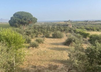 Vista delle montagne - Villa contrada bosco falconeria
 
snc, Partinico - foto 39