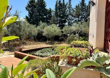 Giardino - Villa contrada bosco falconeria
 
snc, Partinico - foto 85