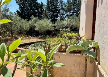 Giardino - Villa contrada bosco falconeria
 
snc, Partinico - foto 87