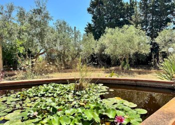 Giardino - Villa contrada bosco falconeria
 
snc, Partinico - foto 91