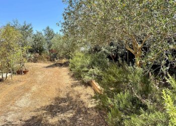 Giardino - Villa contrada bosco falconeria
 
snc, Partinico - foto 92