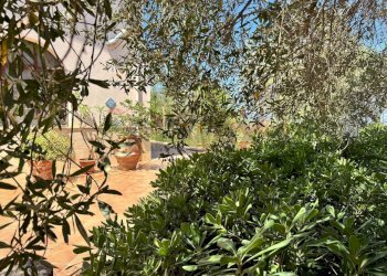 Giardino - Villa contrada bosco falconeria
 
snc, Partinico - foto 95