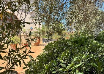 Giardino - Villa contrada bosco falconeria
 
snc, Partinico - foto 96