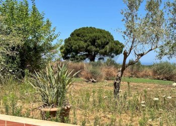 Giardino - Villa contrada bosco falconeria
 
snc, Partinico - foto 97