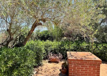 Giardino - Villa contrada bosco falconeria
 
snc, Partinico - foto 99