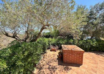 Giardino - Villa contrada bosco falconeria
 
snc, Partinico - foto 101