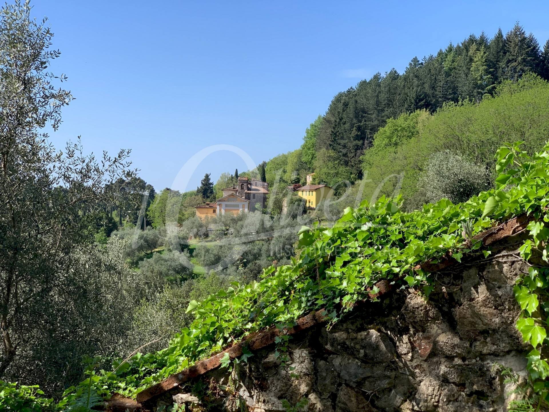 Foto 1 - Casa semi indipendente Santa Maria Albiano, Camaiore - foto 1
