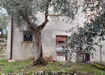 Foto 7 - Terreno agricolo via REBUTTO
 
13, Pietrasanta - foto 7