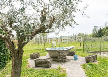 Foto 3 - Casa indipendente via grave
 
13, Ponte di Piave - foto 3