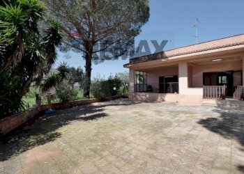 Casa all\'aperto - Villa contrada zecca sp 113
 
280A, Monopoli - foto 16