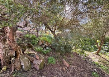 Foto 46 - Casa semi indipendente Bagaglino
 
snc, Stintino - foto 46